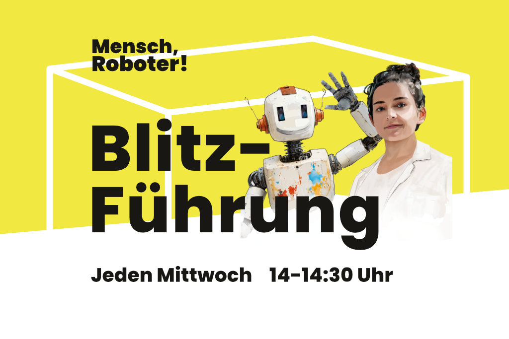 Blitz-Führung_2